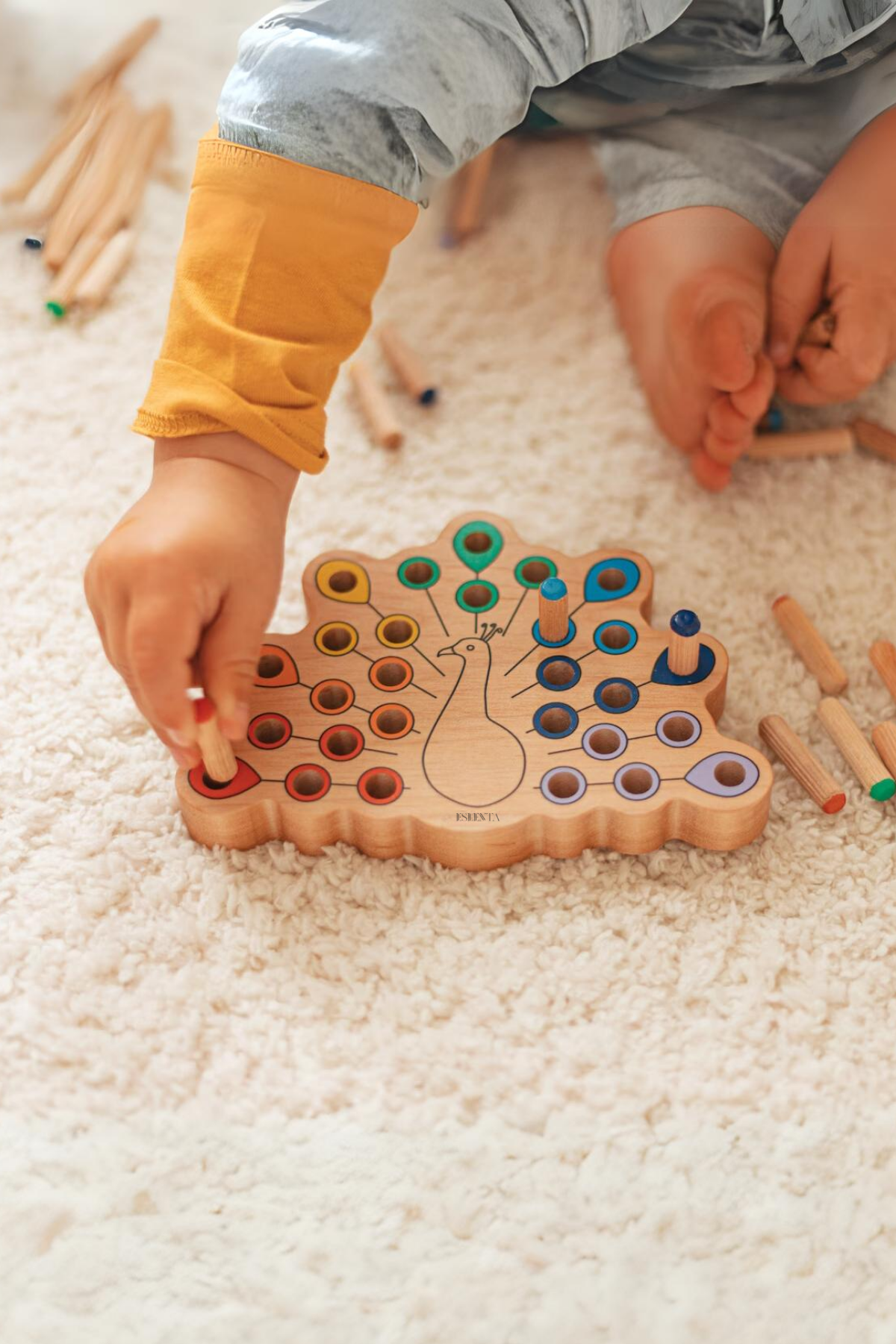 Montessori Ahşap Eğitici Oyuncak Tavus Kuşu, Renk Eşleştirme