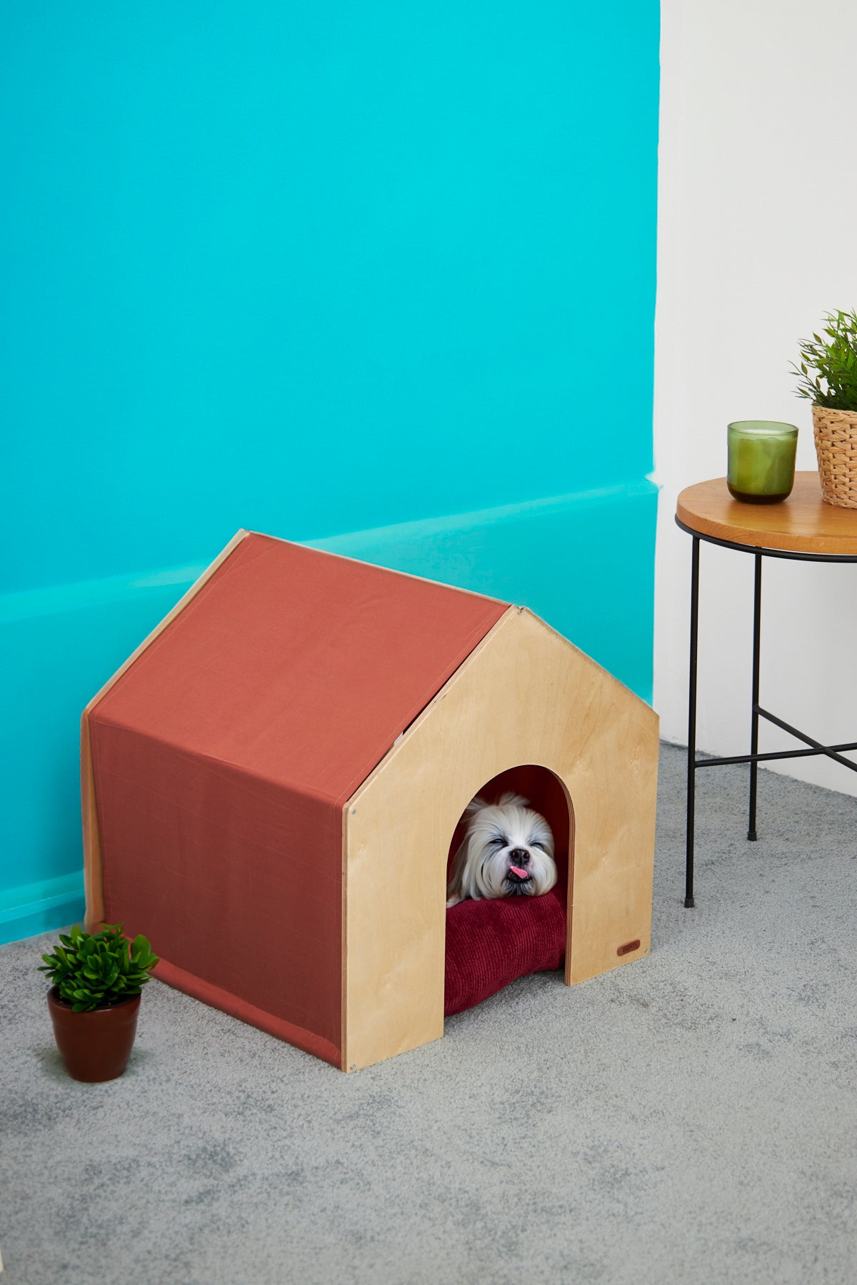 Demonte Ahşap Hava Alabilen Kedi ve Köpek Evi