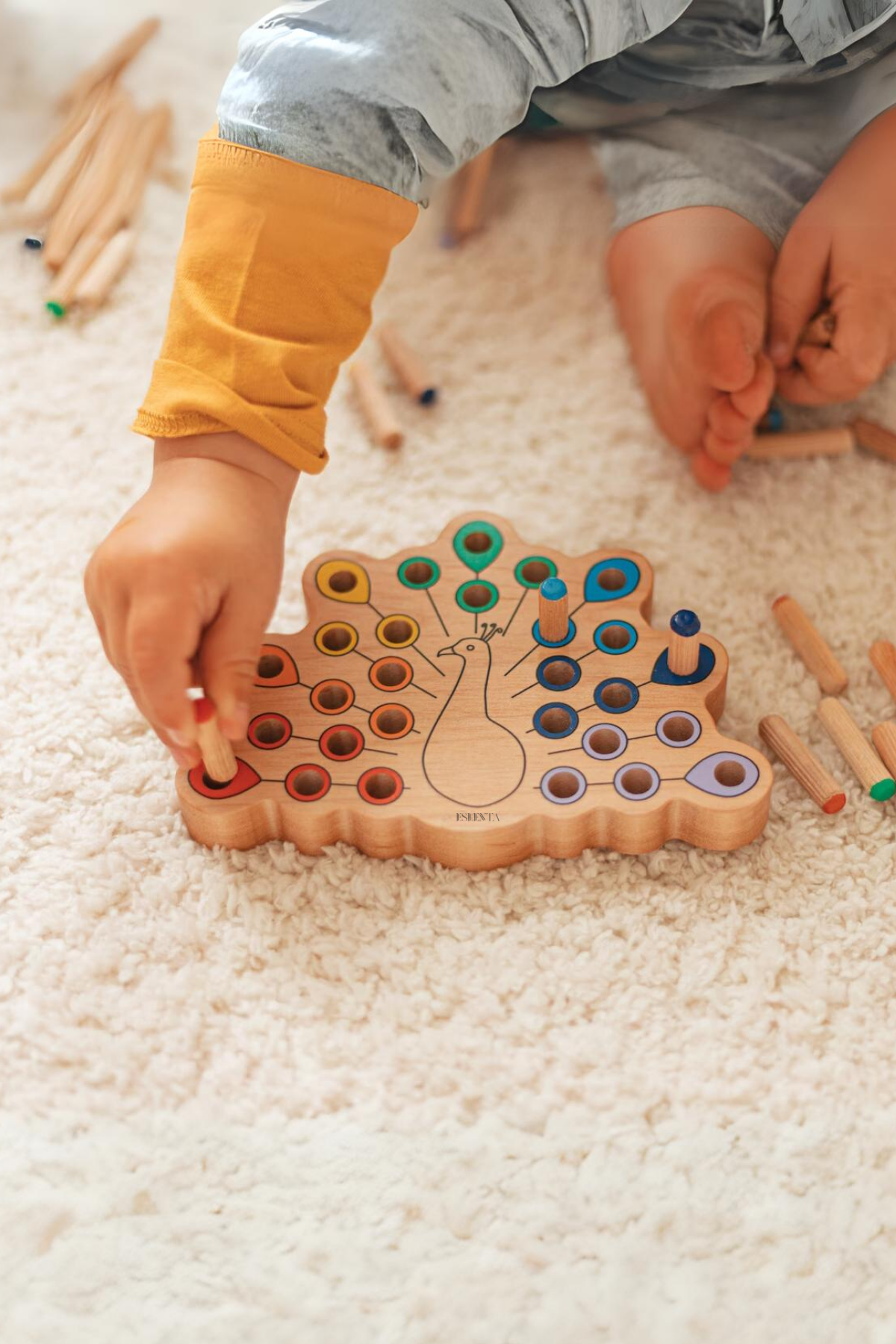 Montessori Ahşap Egitici Oyuncak 4'lü Set, Renk Eşleştirme